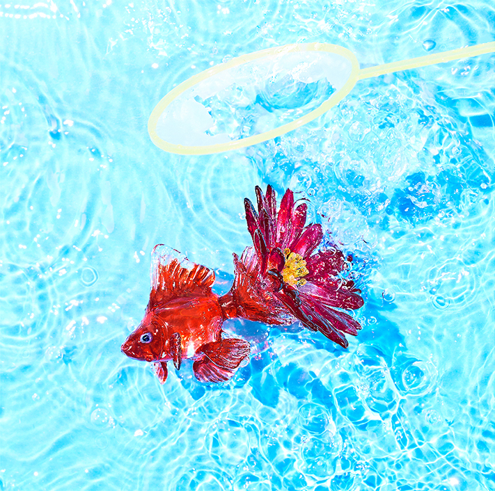 ミニアルバム「アスター」ジャケット写真公開！｜KANA-BOON OFFICIAL